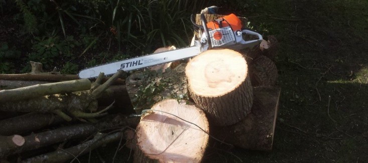 Southend tree & stump removal