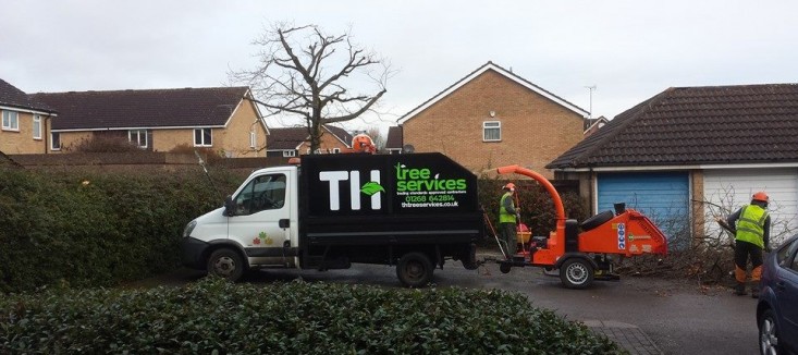 Council Approved Tree Surgeon