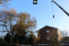Advanved Tree Removals In Leigh On Sea (1)
