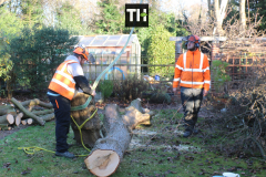 Advanved Tree Removals In Leigh On Sea (11)