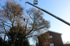 Advanved Tree Removals In Leigh On Sea (2)