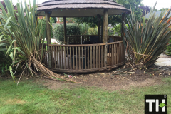 Example area where bamboo is planted
