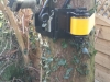 T.H Tree Services Using A GRCS Lowering Device