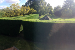 Hedge trimming specialists in Chelmsford 3