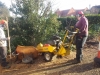 Stump Removal Brentwood