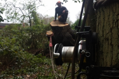 Specialists Winching For Tree Surgeons