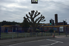 Willow Tree Pollarding For A Local School In Benfleet