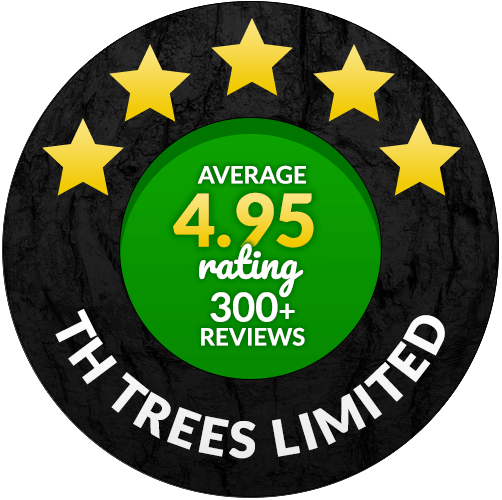 4.95 star rated Tree Surgeon