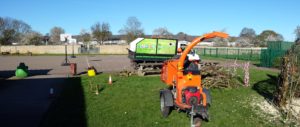 Tree Services for schools