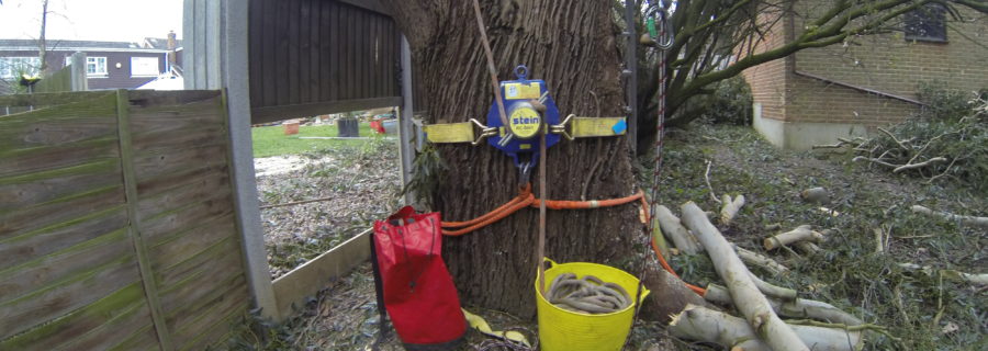 Tree Surgery Equipment Essex