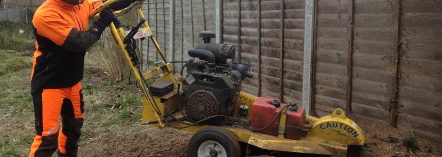 Stump Grinding Essex