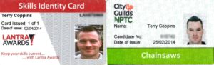 terry-holland-coppins-certified-tree-surgon-in-essex