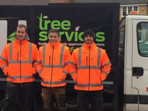 T.H Tree Services Team