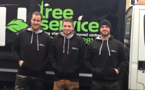 Qualified Essex Tree Surgeons