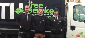 Qualified Essex Tree Surgeons