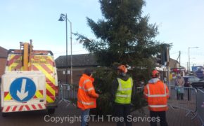 Canvey Christmas Tree