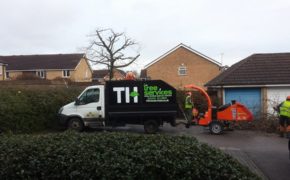 Council Approved Tree Surgeon