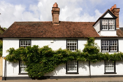 Wisteria gives a quintessentially English look to properties like these. But it could really benefit from some professional maintenance.