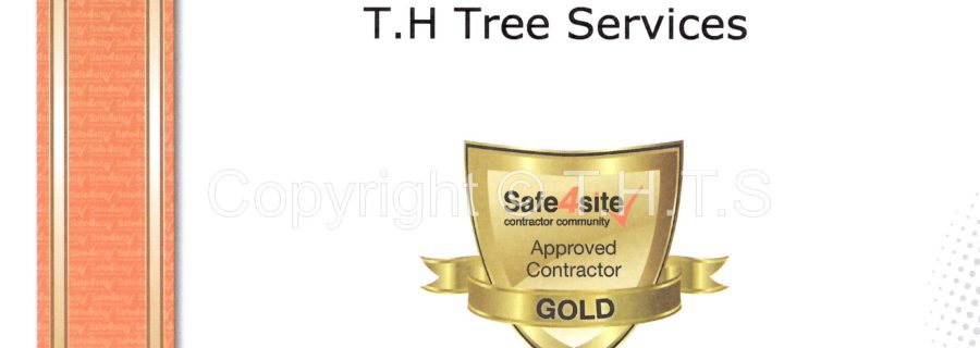Safe4site Gold Approved