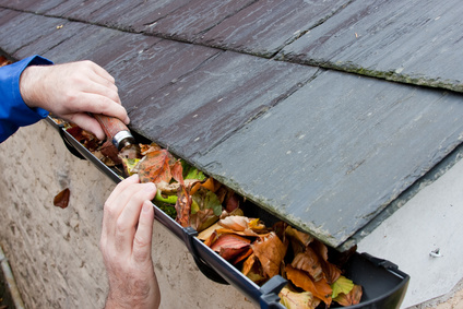 We don't clean gutters. We're tree surgeons. Avoid Jacks of all trades if you want a job done properly.