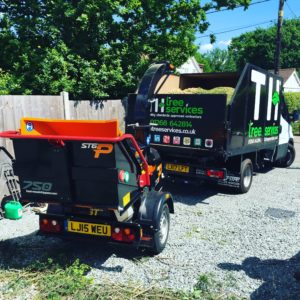 Forst ST6p Petrol Wood chipper