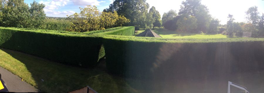Hedge Trimming Specialists In Chelmsford