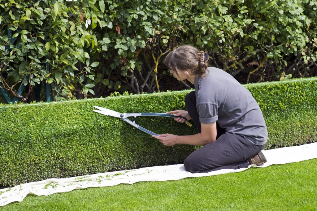 Hedge maintenance