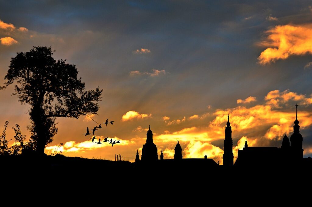 Urban trees