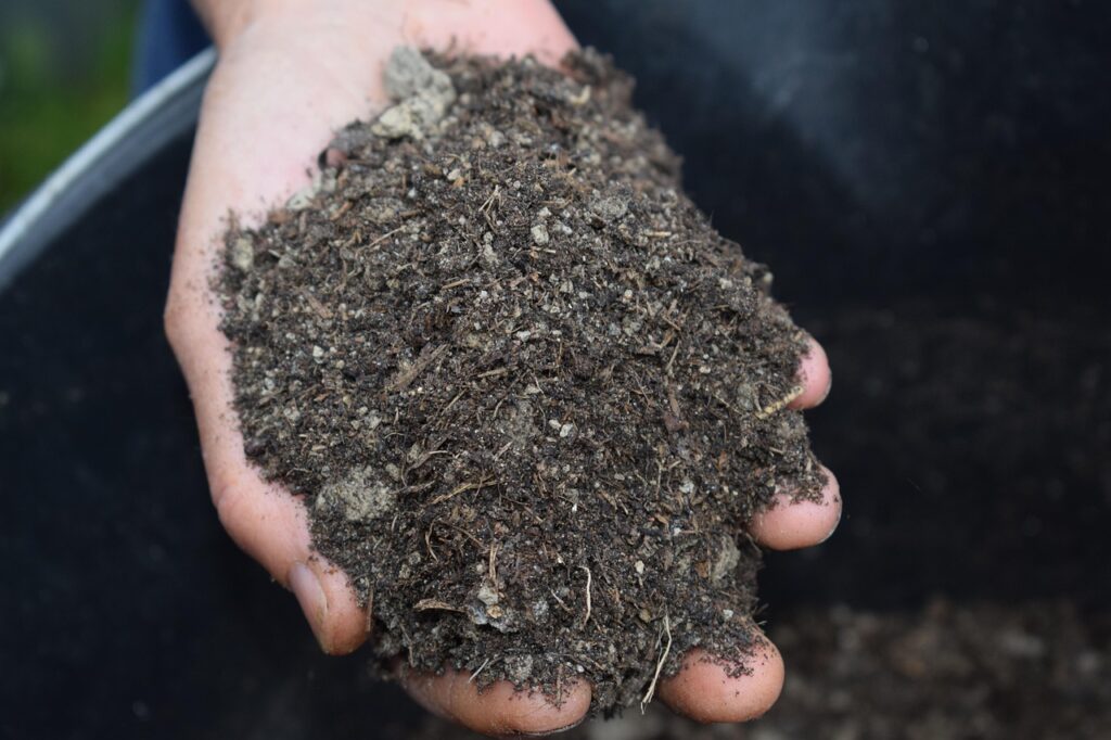 Mulching to protect young trees from heat damage