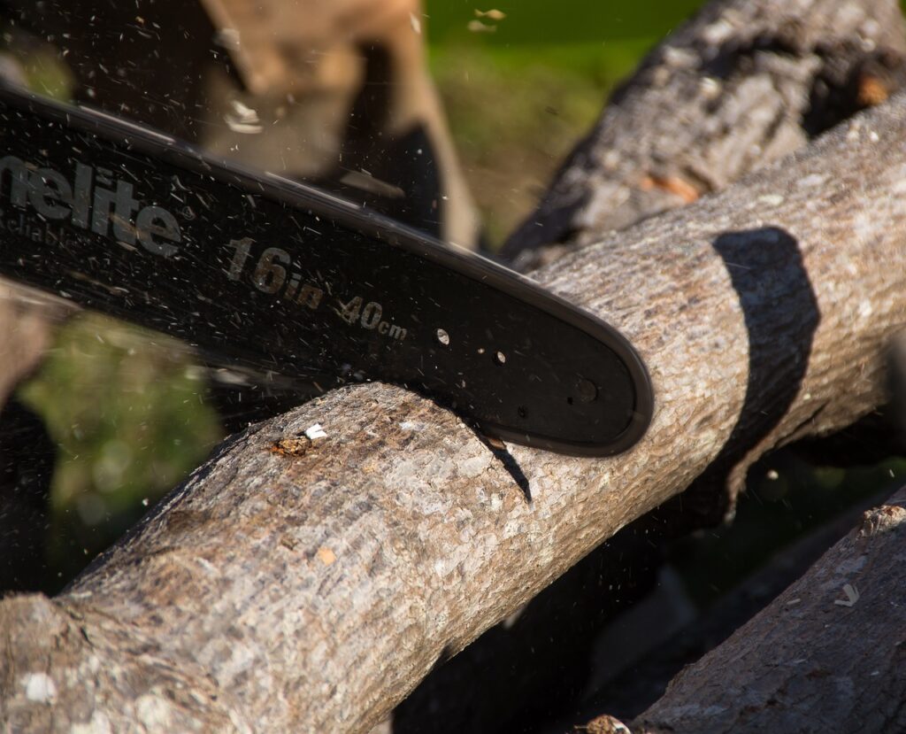 Dangers of DIY tree work